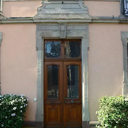 Le Cosy De La Gare Apartment Colmar