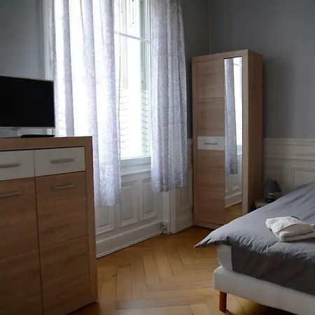 Le Cosy De La Gare 公寓 科尔马